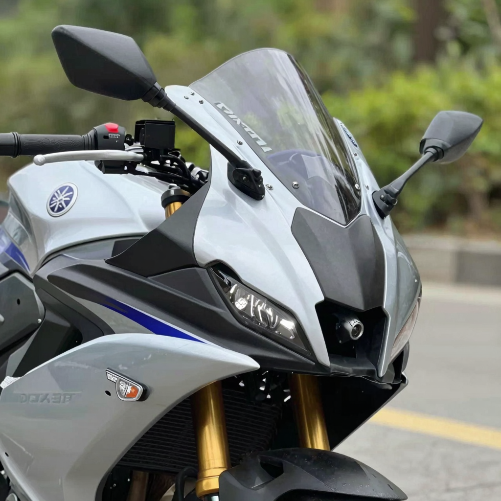 Yamaha R125 Fairing