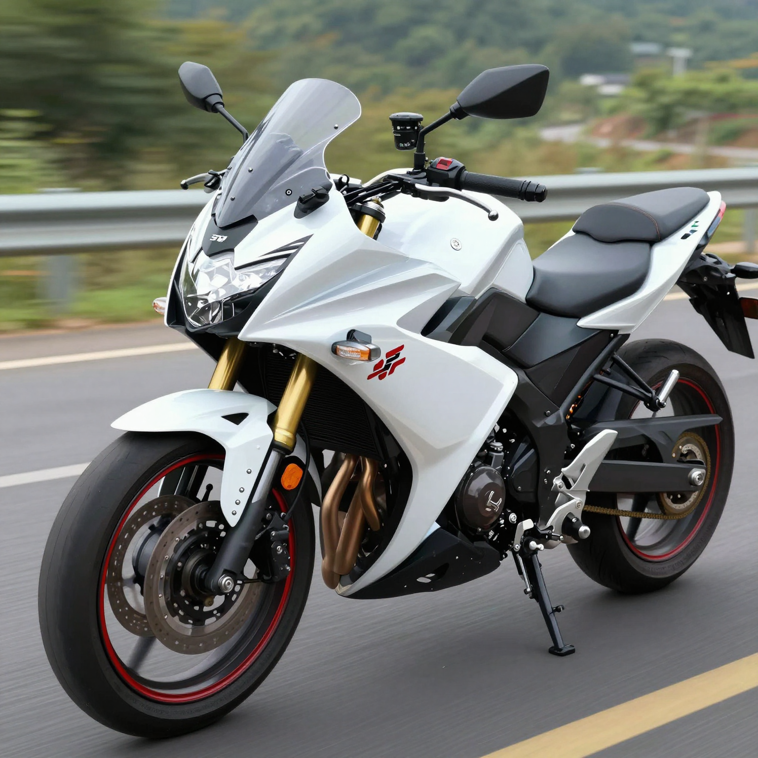 Suzuki Gixxer SF with Fairing Fillers