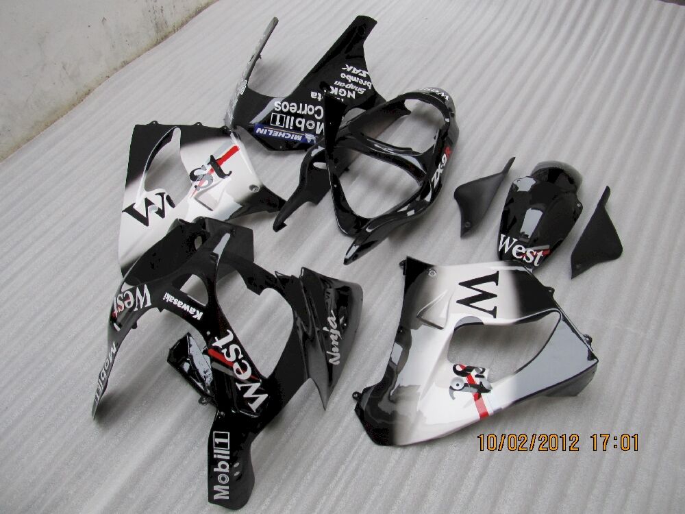 Fairings Plastics Kit For Kawasaki ZX-9R(2000-2001) FM-8142