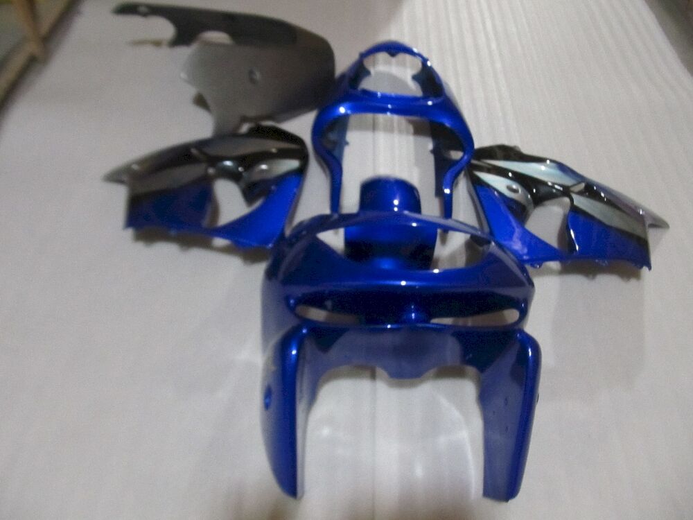 Fairings Plastics Kit For Kawasaki ZX-9R(1998-1999) FM-8282