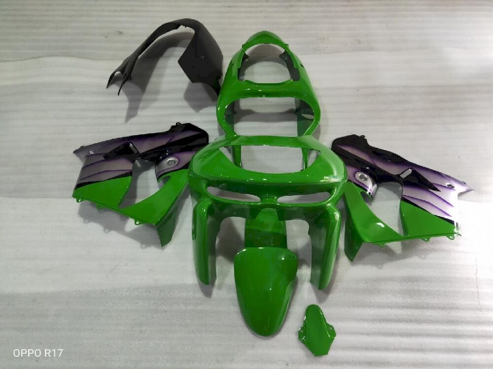 Fairings Plastics Kit For Kawasaki ZX-9R(1998-1999) FM-8292