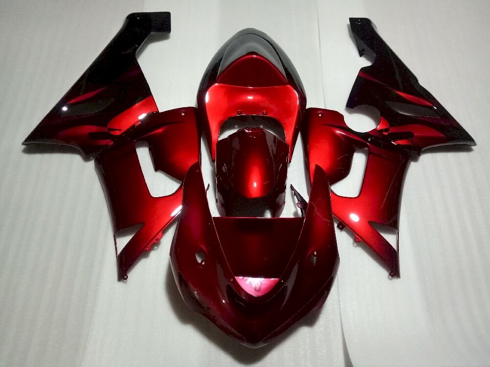 Fairings Plastics Kit For Kawasaki ZX-6R(2005-2006) FM-7816