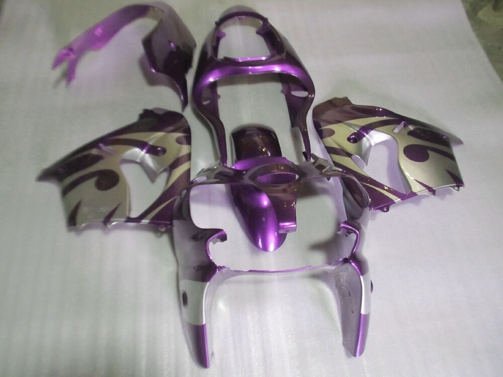 Fairings Plastics Kit For Kawasaki ZX-9R(2000-2001) FM-8204