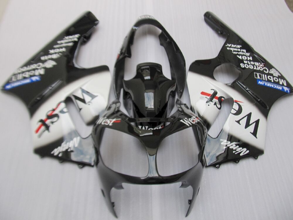 Fairings Plastics Kit For Kawasaki ZX-12R(2000-2001) FM-7522