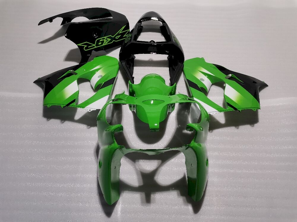 Fairings Plastics Kit For Kawasaki ZX-9R(2002-2003) FM-8239